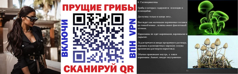 Псилоцибиновые грибы Magic Shrooms  Конаково 